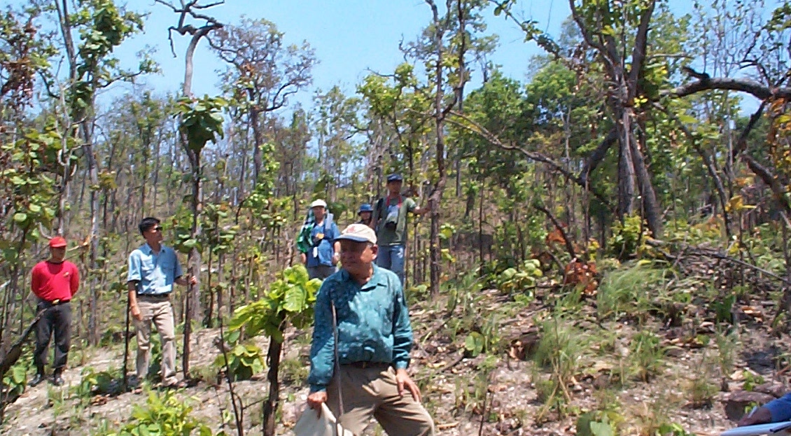 Community Forestry