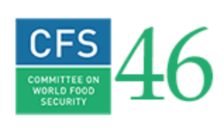 Committee on World Food Security (CFS 46)
