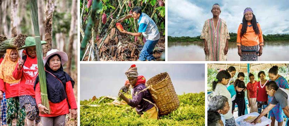 Global Landscapes Forum Bonn 2019 cover image