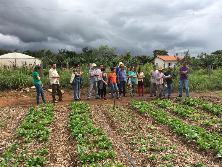 Trabalho de campo do projeto Transição Produtiva e Serviços Ambientais, da Embrapa Cerrados Luciano Mattos