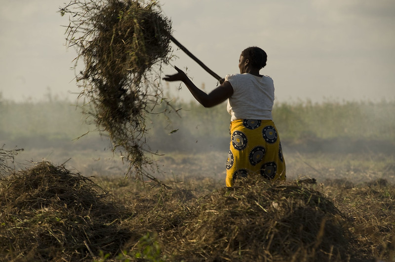 Foto: Jeffrey Barbee/Thomson Reuters Foundation/CIF Action/Flickr (CC BY-NC-ND 2.0)