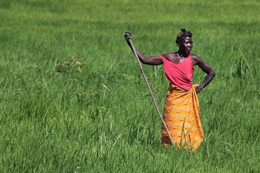 Woman in the fields in Sierra Leone, 2012