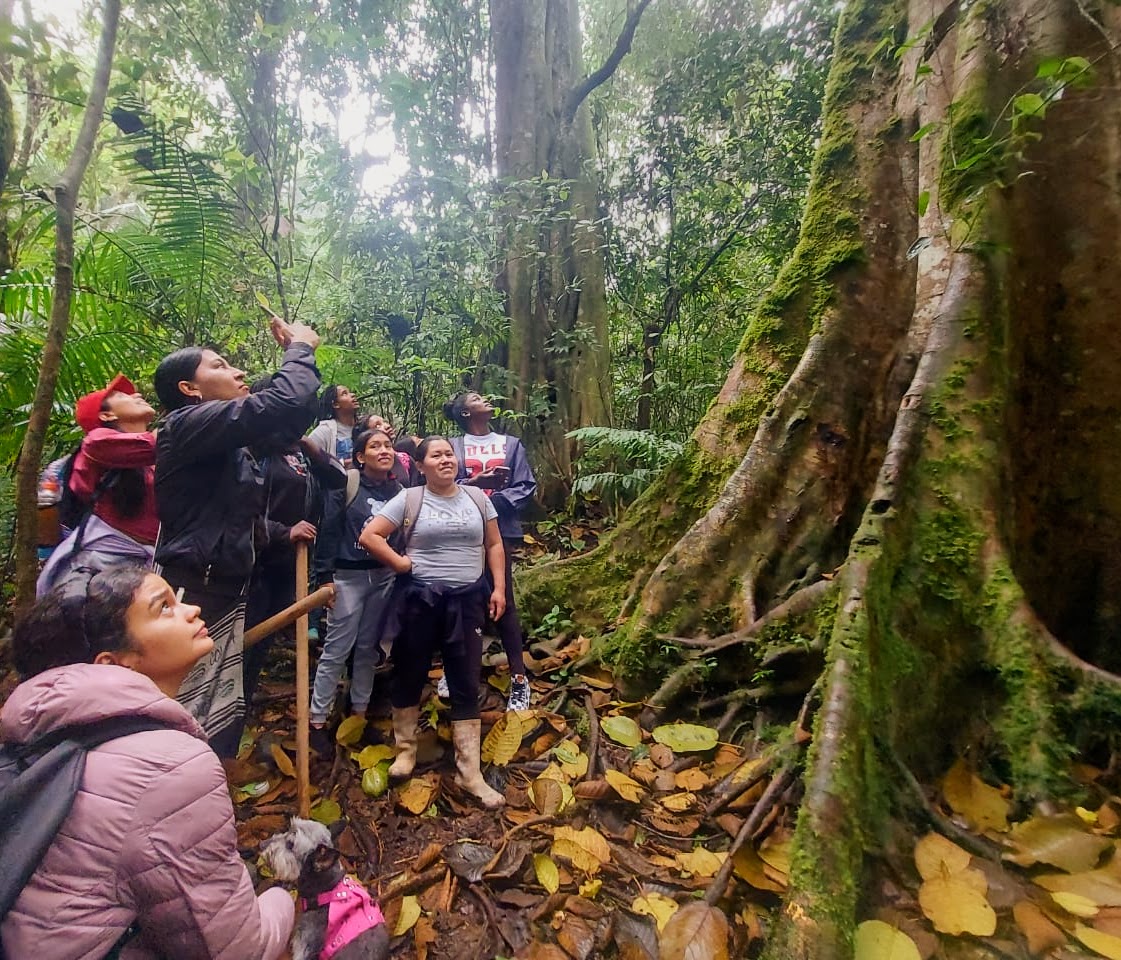 Protecting the Roots of a Sacred Tree