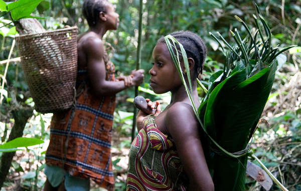 Traditionally, small ‘Pygmy’ communities moved frequently through forest territories, gathering a vast range of forest products, collecting and exchanging goods with neighboring settled societies. © Selcen Kucukustel/Atlas