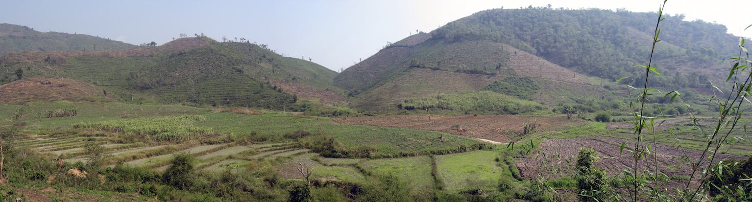 Figure 8: Clearing jungle for more profitable rubber trees - Muang Sing, Lao PDR (by Houston Marsh)