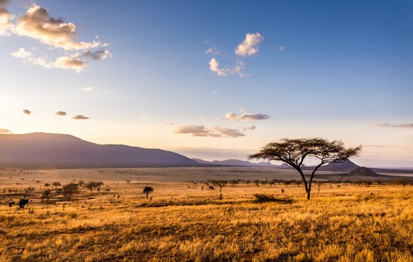 Drylands cover 43 per cent of Africa, they harbour a third of Earth’s biodiversity hotspots.Photo: ©Maciej Czekajewski/Shutterstock