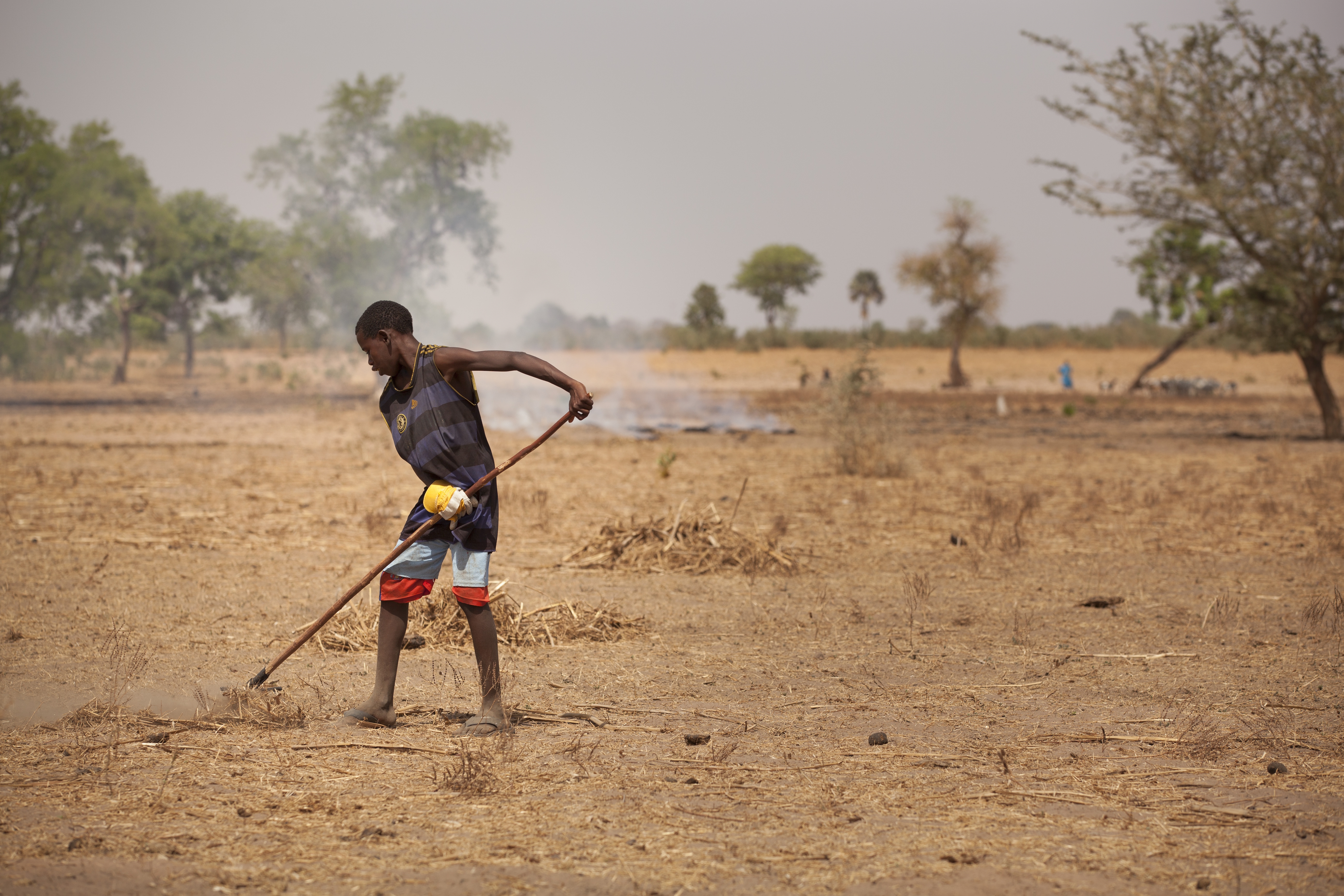 Garçon préparant la terre au Sénégal