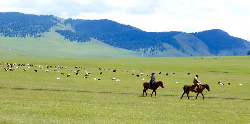 Deux bergers, bottes jaunes, chapeau rouge, Mongolie, CC BY-NC-ND 2.0 license