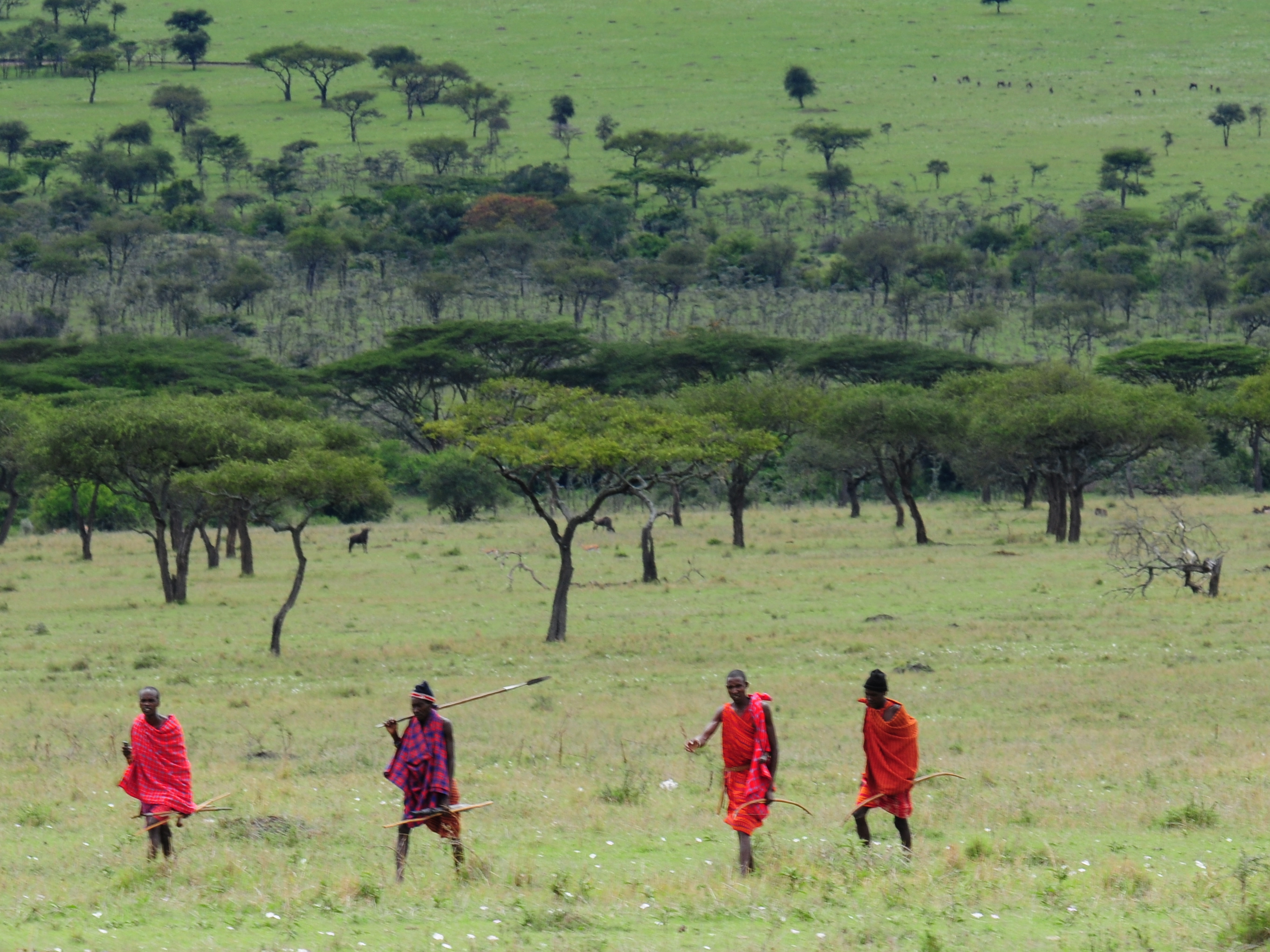 Maasai in Loliondo, 2008,Vince Smith Attribution 2.0 Generic (CC BY 2.0) https://www.flickr.com/photos/vsmithuk/3067040426/ 