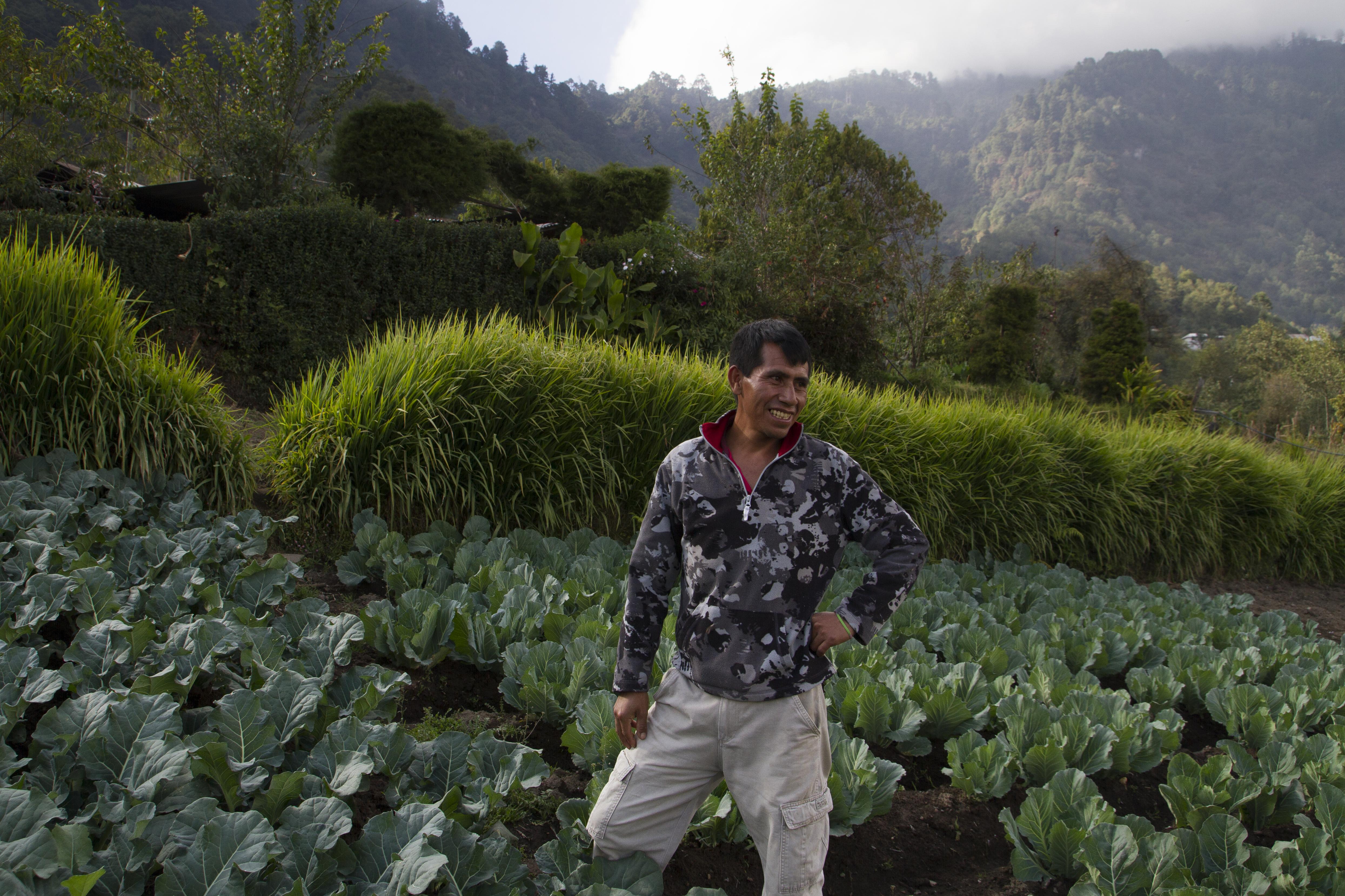 Agriculture in San Marcos, photo by FAO Americas, Flickr, CC BY-NC-SA 2.0