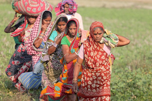 Group of women, Odisha State (free licence)