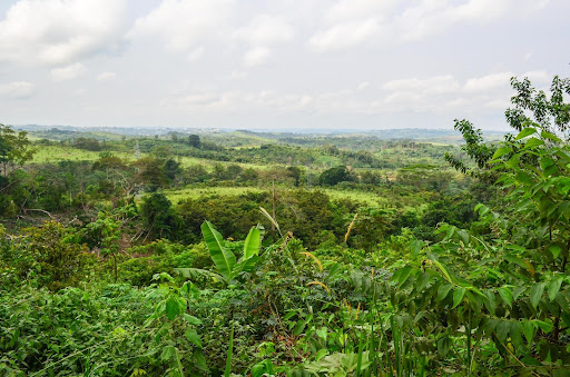 Plateaux Batéké in Gabon, photography by jbdodane (CC BY-NC 2.0)