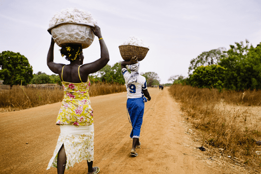 Des femmes transportant du coton au Burkina Faso, photographie par Ollivier Girard/CIFOR, Certains droits réservés
