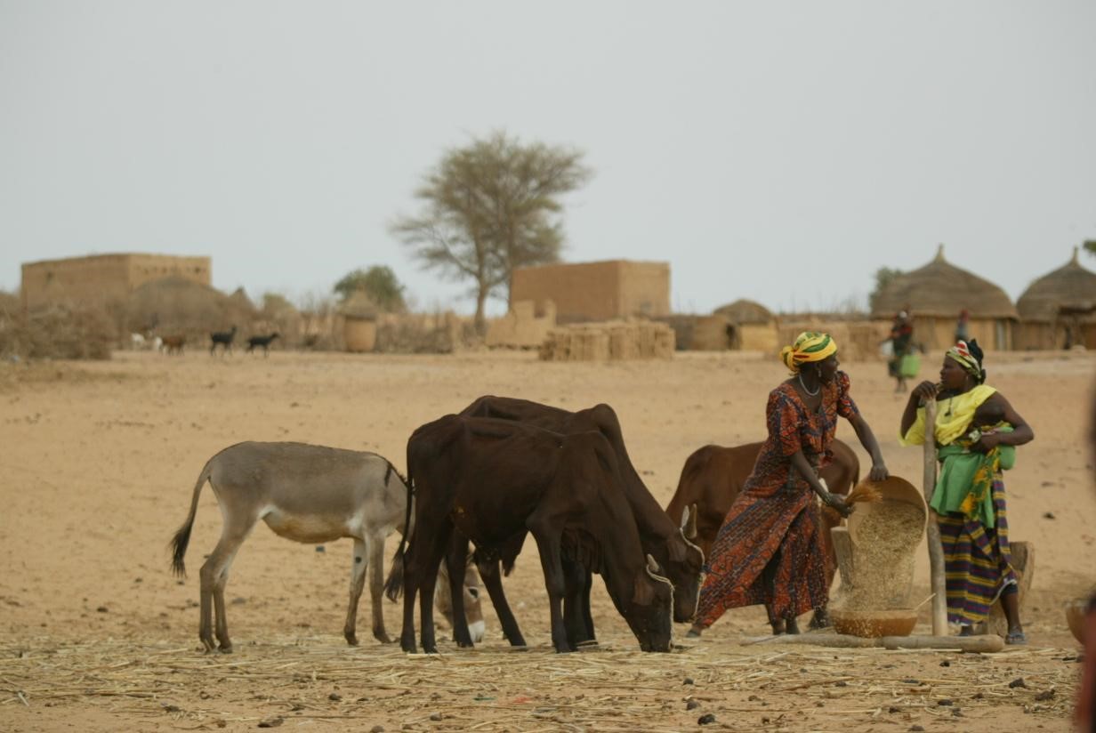 Village women and their herd in Niger, photo by ILRI/Stevie Mann (CC BY-NC-ND 2.0)