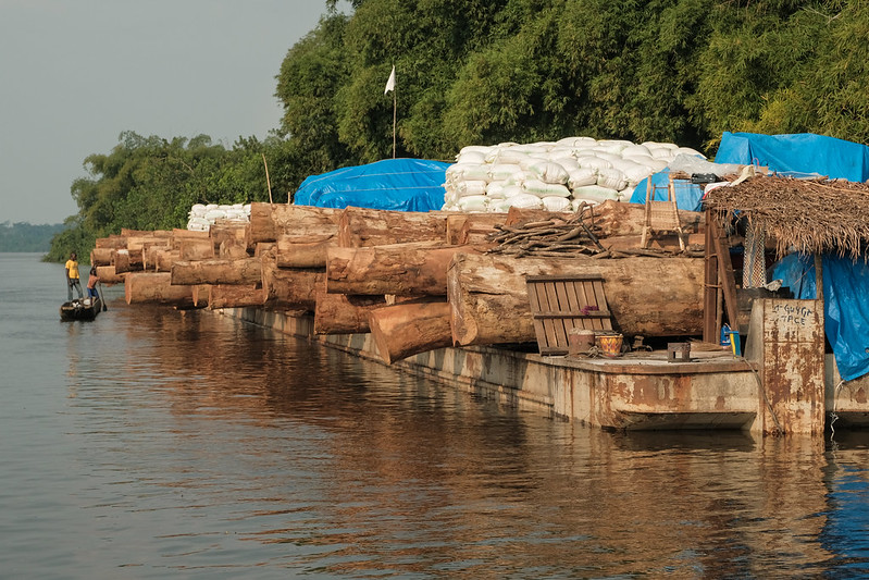 Logs being transported by river near Kisangani, DRC.Photo by Photo by Axel Fassio/CIFOR, License CC BY-NC-ND 4.0 Deed | Attribution-NonCommercial-NoDerivs 4.0 International