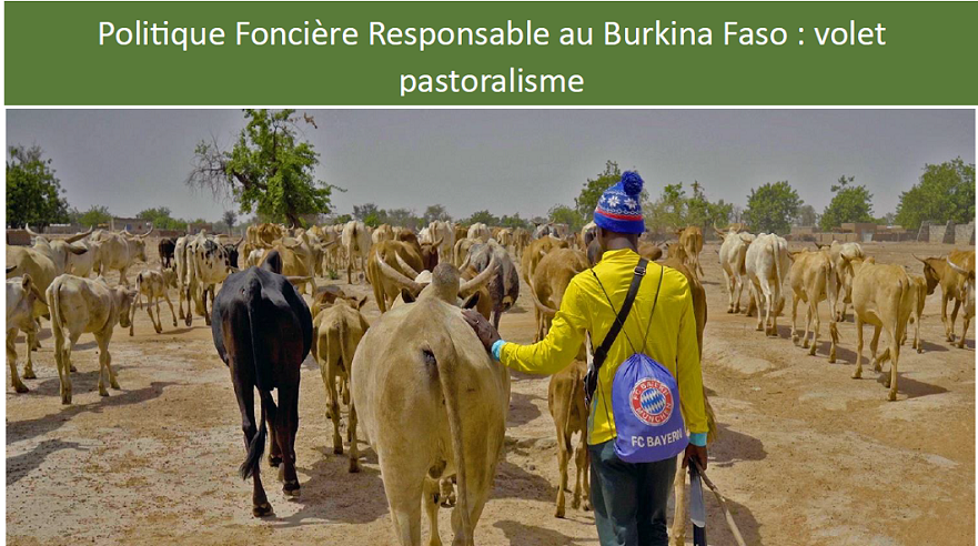 Factsheet sur le volet pastoralisme du projet ProPFR au Burkina Faso