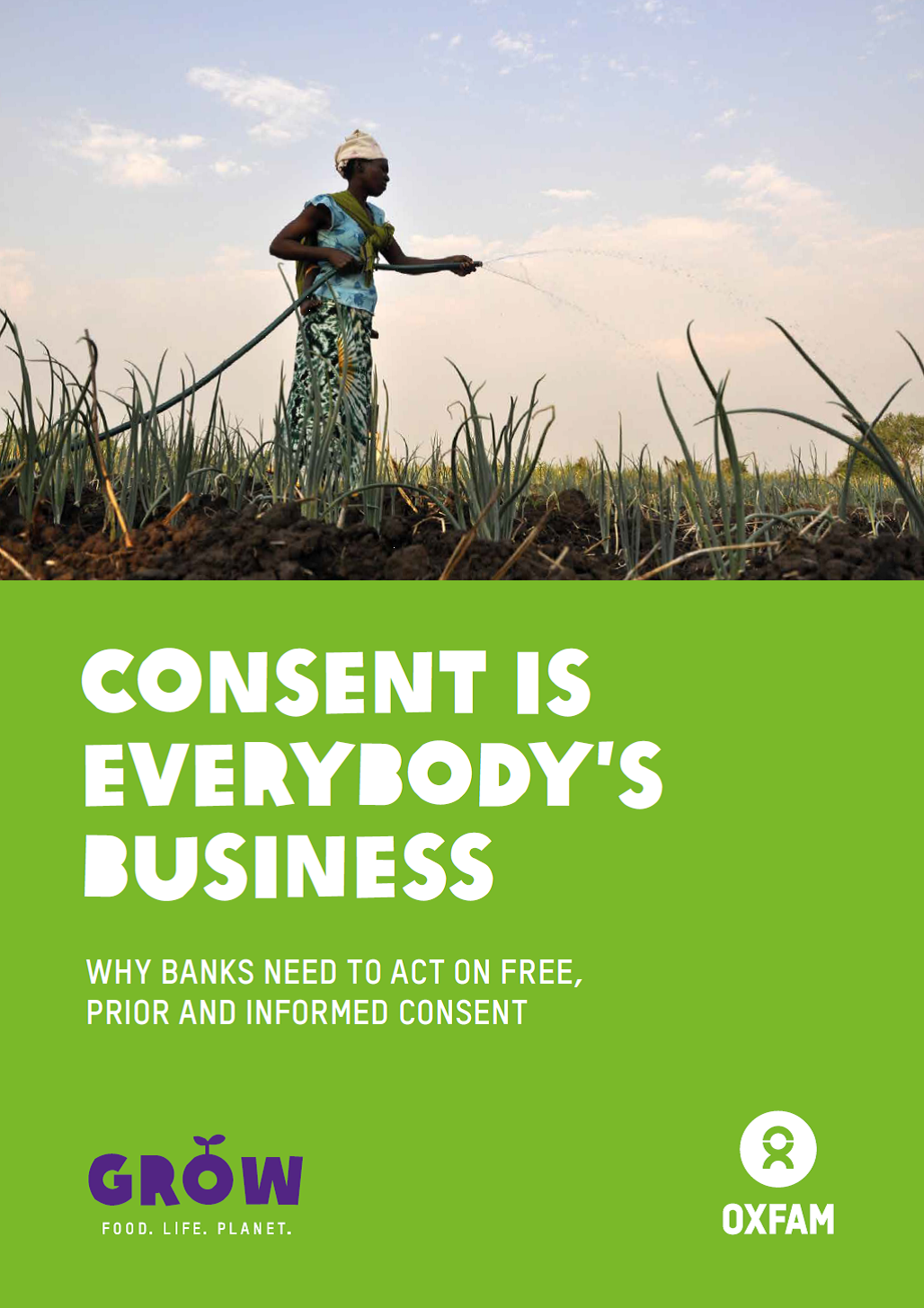 Consent is Everybody's Business: Why banks need to act on free, prior and informed consent
