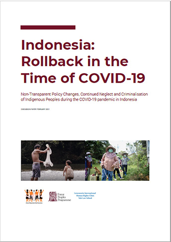 Rollback in the time of COVID-19 - Indonesia country report