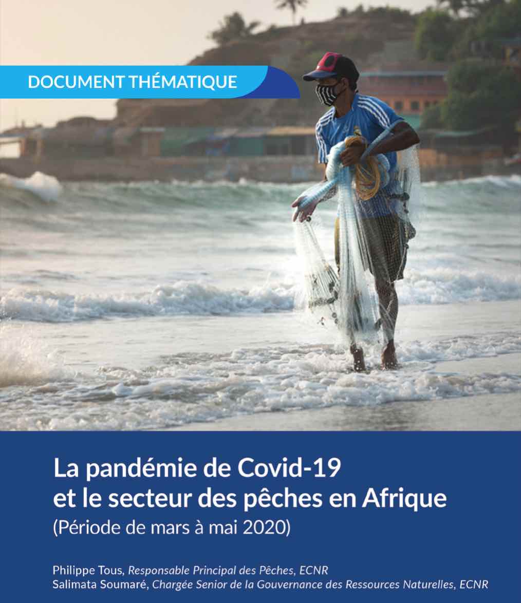 Les pêcheries africaines en besoin de réformes pour renforcer la résilience post Covid-19 (étude)