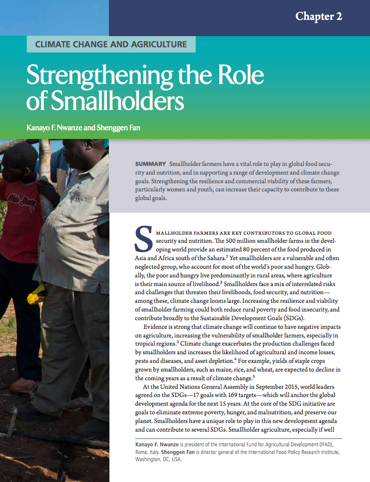 Climate change and agriculture: Strengthening the role of smallholders cover image