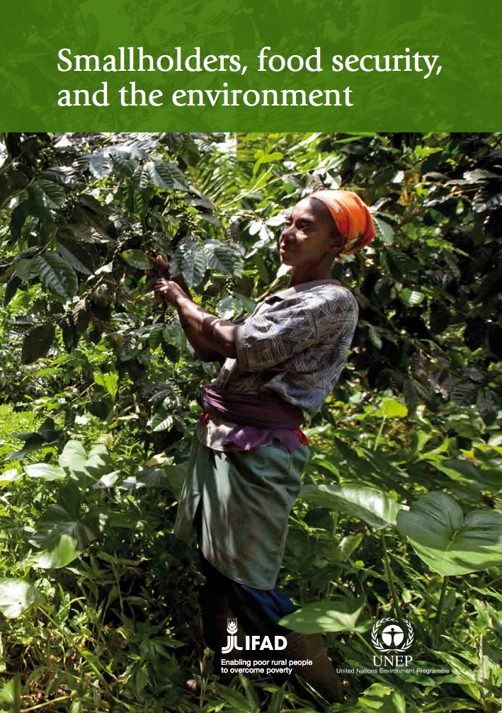 Smallholders, food security, and the environment cover image