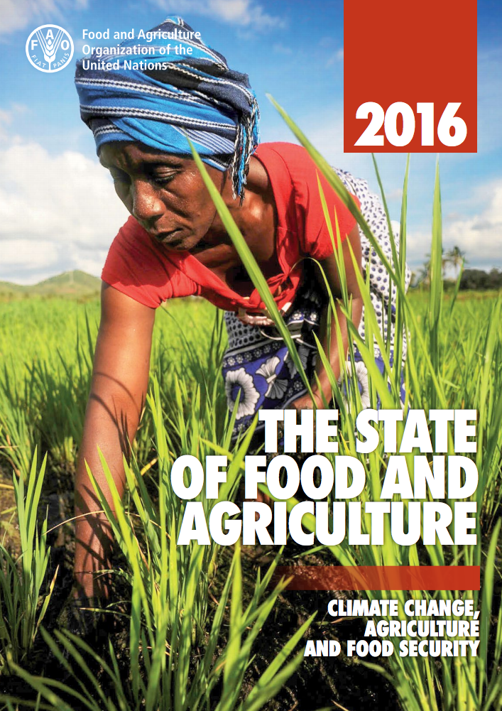 The State of Food and Agriculture: Climate Change, Agriculture and Food Security cover image