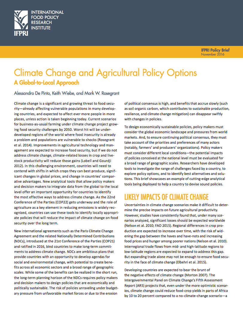 Climate change and agricultural policy options: A global-to-local approach cover image