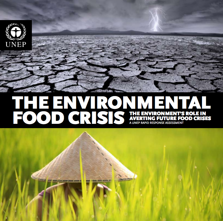  The environmental food crisis: the environment's role in averting future food crises cover image
