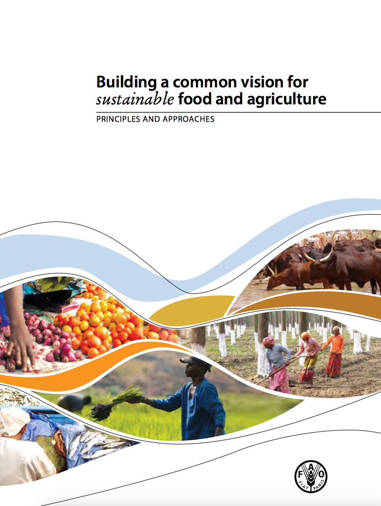 Building a common vision for sustainable food and agriculture cover image