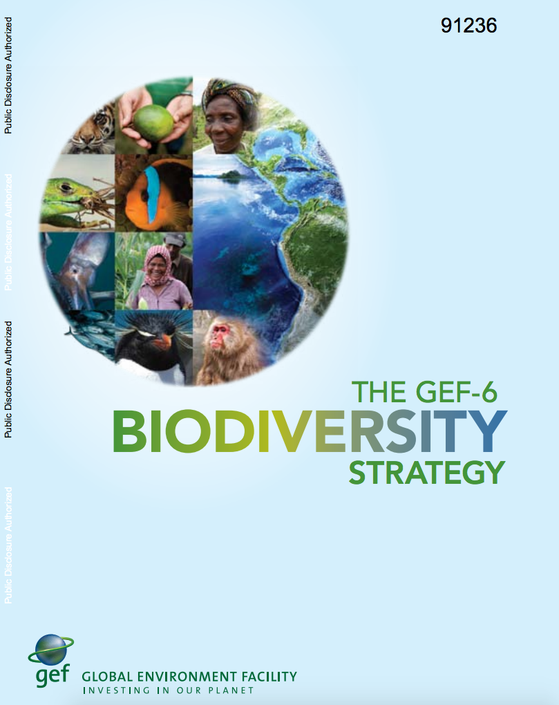 The GEF-6 Biodiversity Strategy cover image