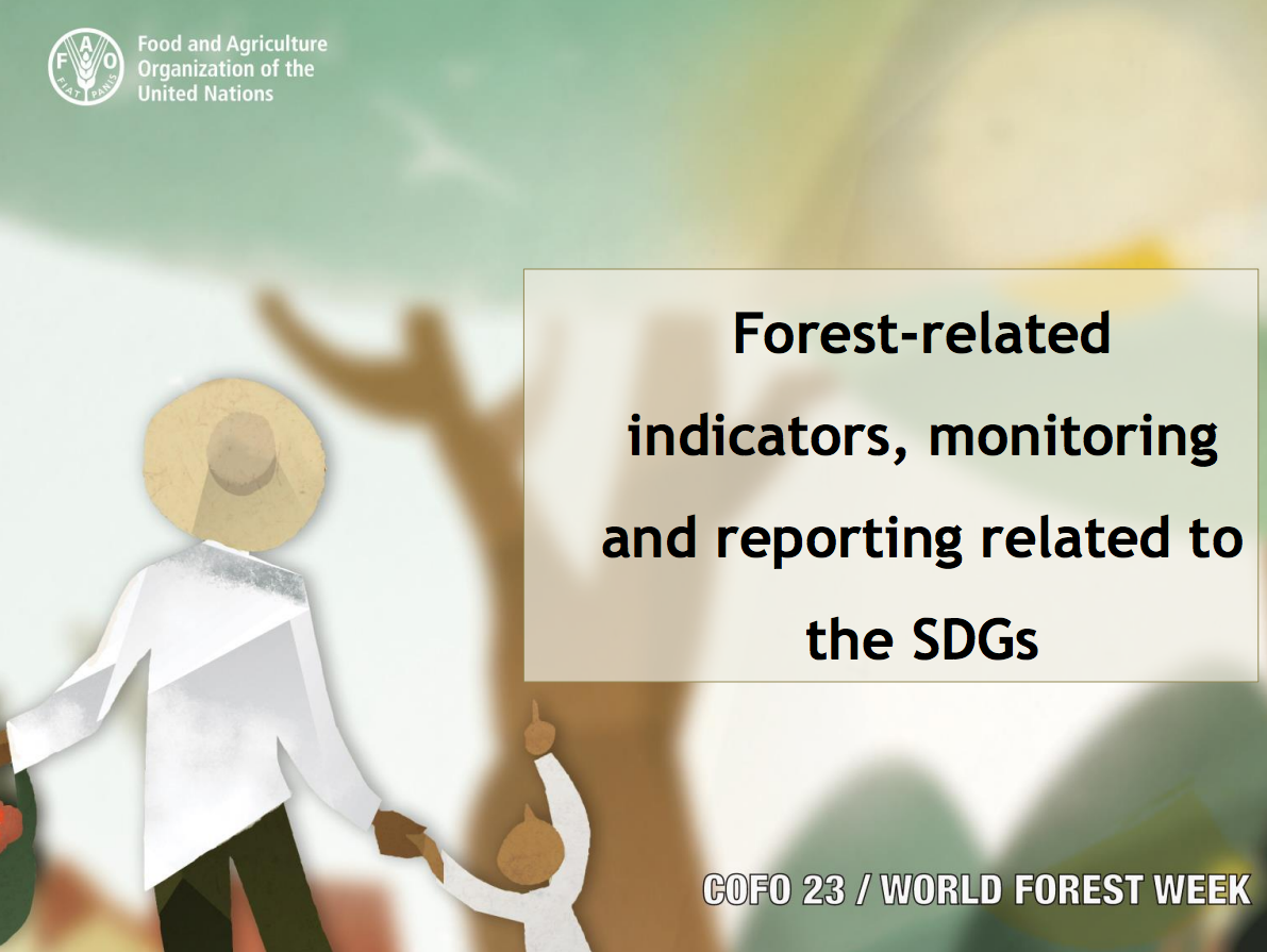 Forest-related indicators, monitoring and reporting related to the SDGs cover image