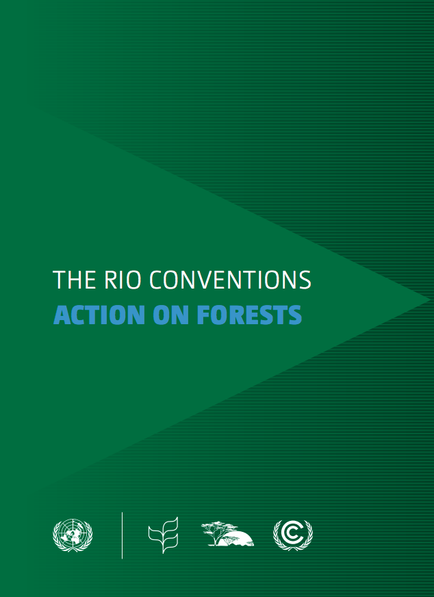 The Rio Conventions: Action on Forests cover image