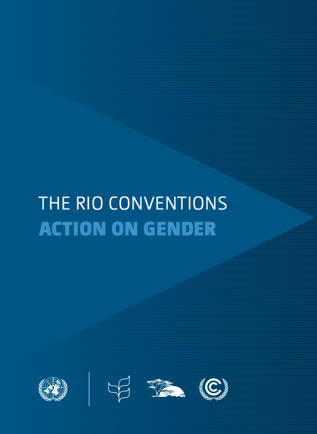 The Rio Conventions: Action on Gender cover image