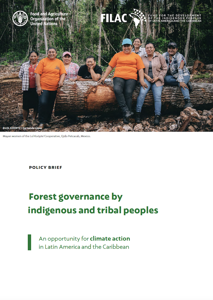 Policy Brief: Forest governance by indigenous and tribal peoples