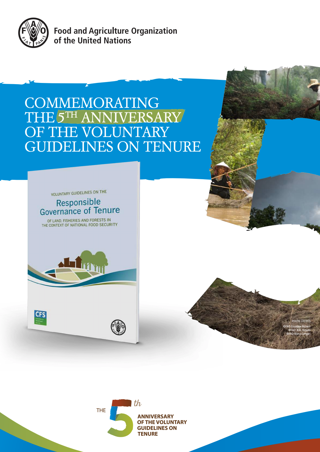 Commemorating the 5th Anniversary of the Voluntary Guidelines on the Governance of Tenure cover image