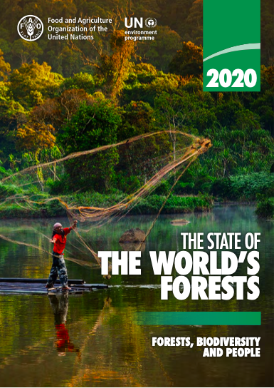 The State of the World’s Forests 2020. Forests, biodiversity and people.
