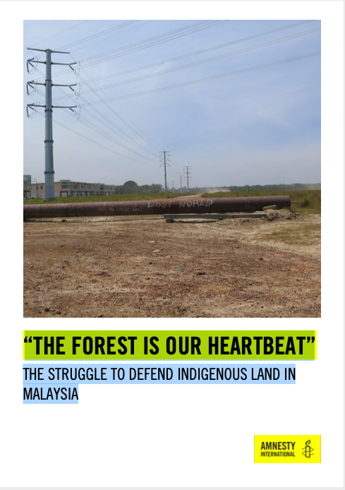 THE FOREST IS OUR HEARTBEAT": THE STRUGGLE TO SAVE INDIGENOUS LAND IN MALAYSIA