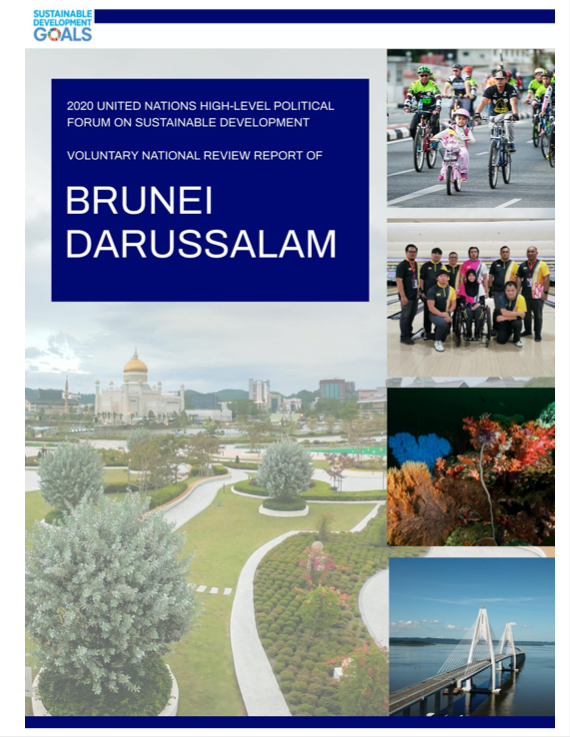 Voluntary National Review Report of Brunei Darussalam