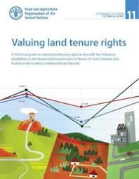 valuing land tenure