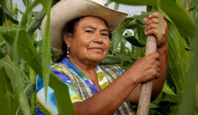 Foto: Divulgação – Fonte: Agência Nacional de Assistência Técnica e Extensão Rural – ANATER