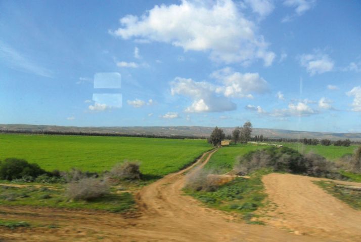 14_z-enquete-algerie-perimetre-agricole-dans-loranais.jpg