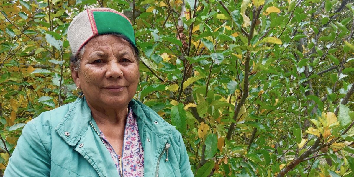 Why Rattan Manjari Fights for Tribal Women's Land Rights in Himachal Pradesh