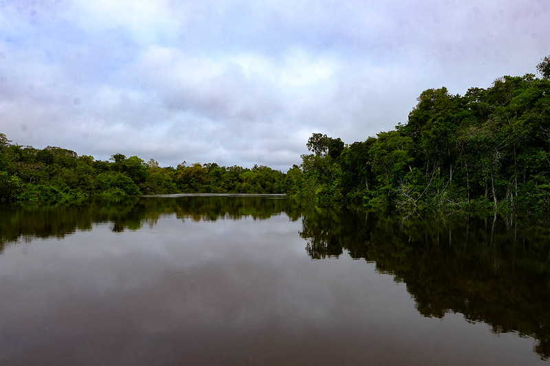 Foto: Amazônia Real/Flickr