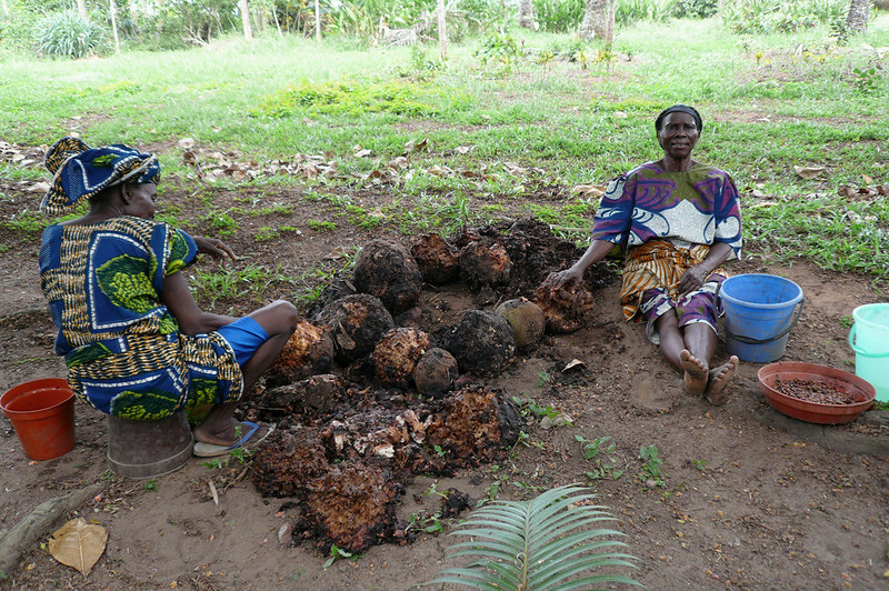 Foto: International Instituto of Tropical Agriculture/Flickr (CC BY-NC 2.0)