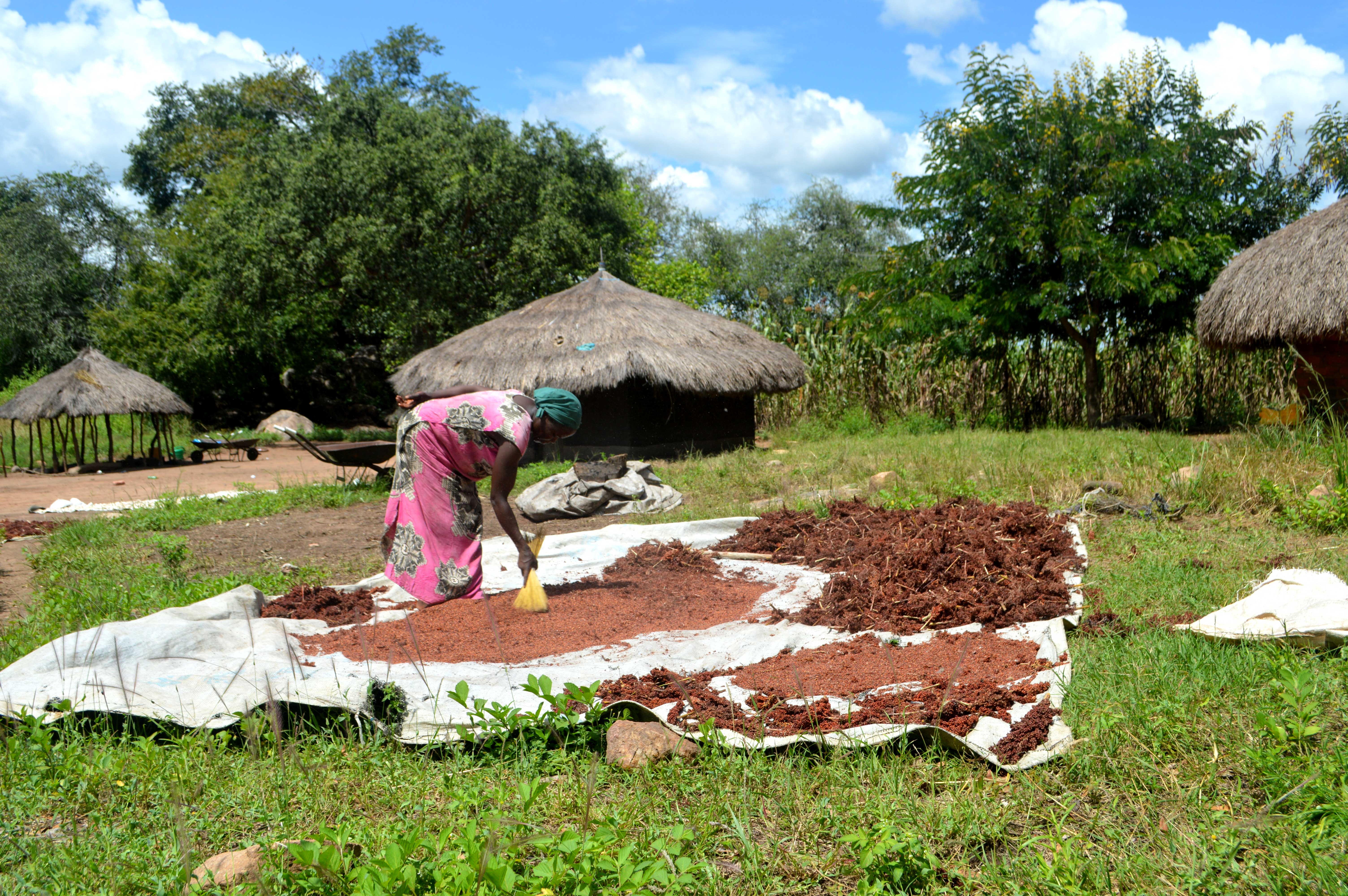 Noel's Wife is processing produced goods from the land they rented.