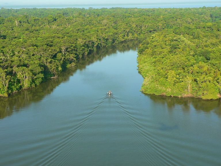 Aerial view of the Río Plátano Biosphere Reserve in Honduras. Image: Panthera.