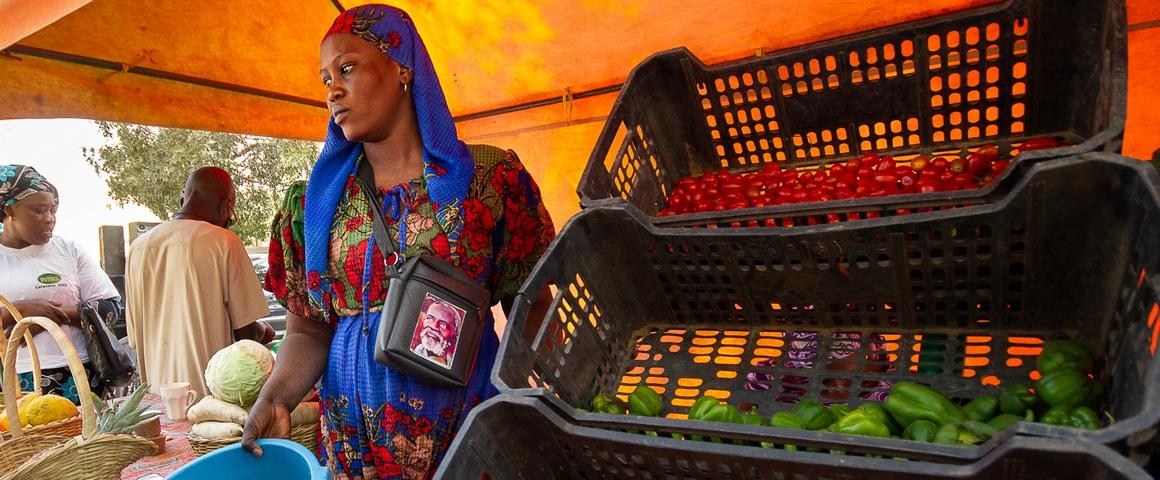 Distributrice du marché de producteurs bio du REFABEC à Thiès (Sénégal) © R. Belmin, Cirad Distributrice du marché de producteurs bio du REFABEC à Thiès (Sénégal) © R. Belmin, Cirad