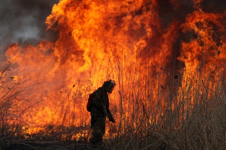 feux de forêt en russie