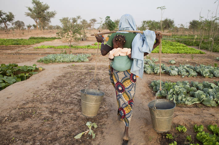 Woman watering her crops in Niger. Photo: FAO