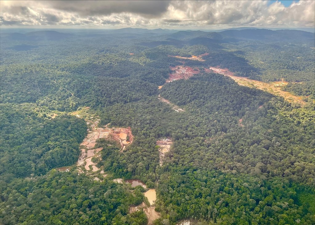 UN News/Laura Quinones Le Suriname est le pays le plus boisé du monde, mais ses forêts tropicales vierges sont menacées, entre autres, par l'exploitation minière de l'or, de la bauxite et du kaolin.